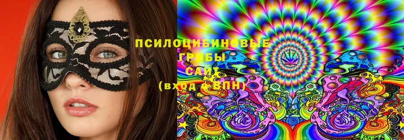 Псилоцибиновые грибы Cubensis  ОМГ ОМГ   Барыш 